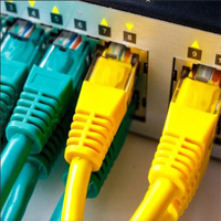 鴻達網絡科技 引領數字化時代的網絡先鋒