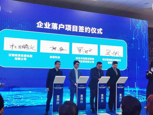 漢陽星火鏈網骨干節點上線暨武漢星火數字產業大樓揭牌儀式圓滿落幕，為投資房地產注入數字新動能